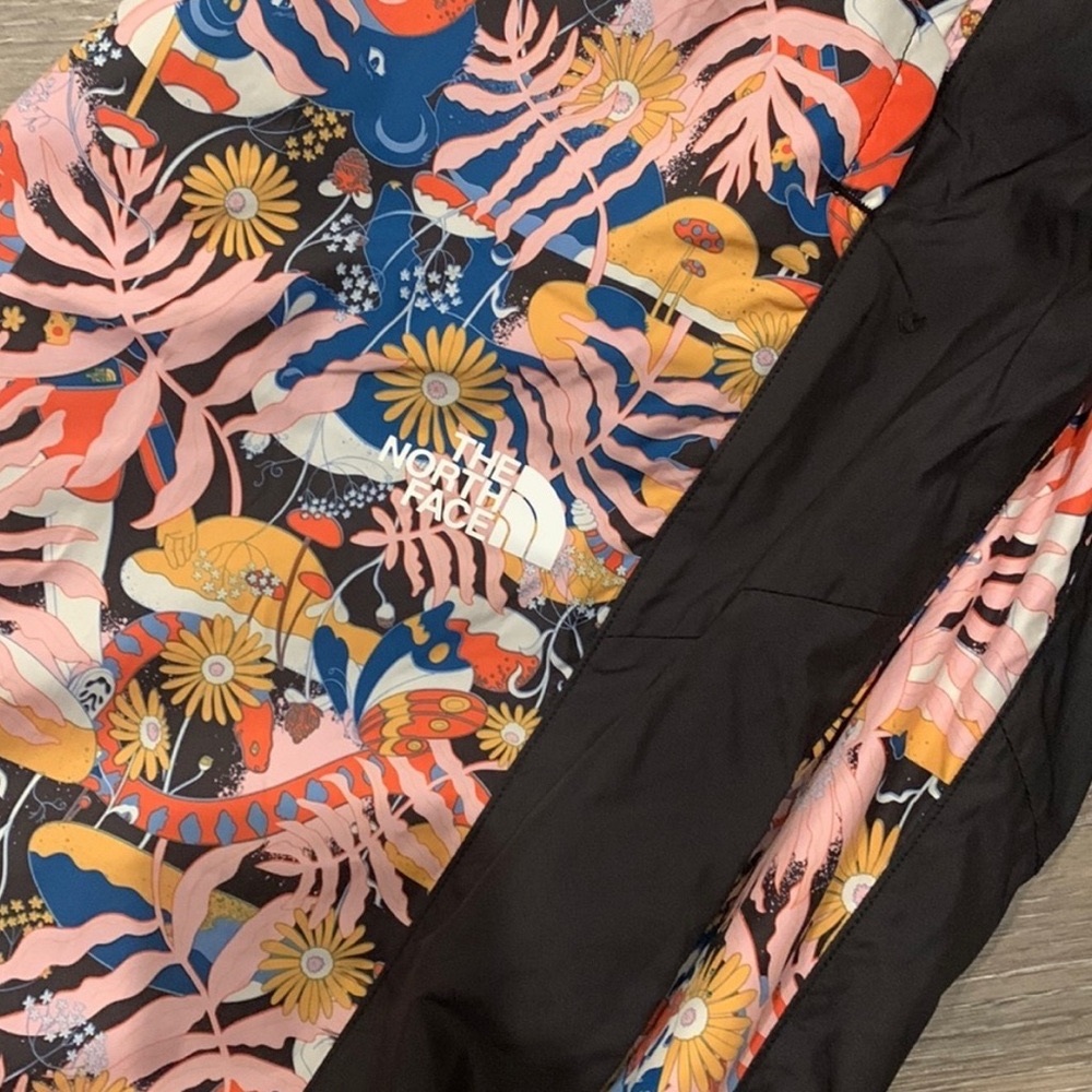 NWT The North Face Printed Hydrenaline™ 2000 Pants